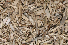 biomass boilers Threemilestone